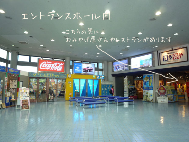 �����^���[�@�P�K�G���g�����X�z�[����