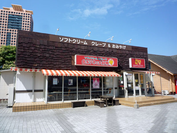 �����^���[�@�k�L�c�l�̑�D��