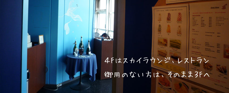 �X�J�C���E���W�@�����^���[�@�SF�@